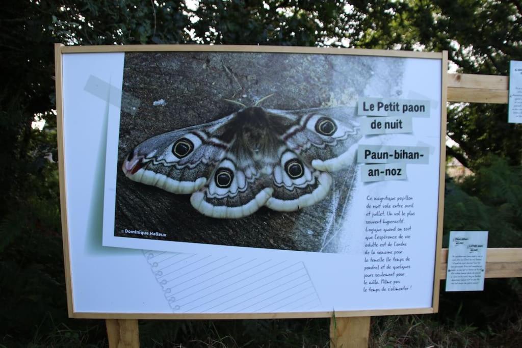 La Petite Bretonne Villa Plounerin ภายนอก รูปภาพ