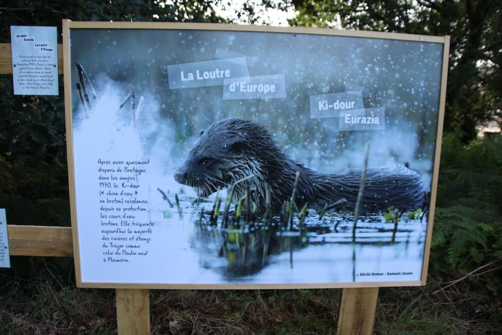 La Petite Bretonne Villa Plounerin ภายนอก รูปภาพ