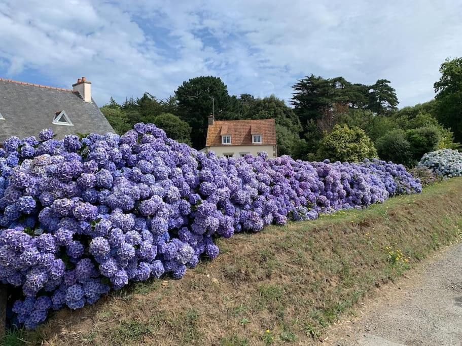 La Petite Bretonne Villa Plounerin ภายนอก รูปภาพ